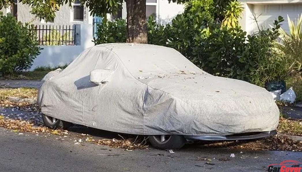 car-cover-bird-droppings